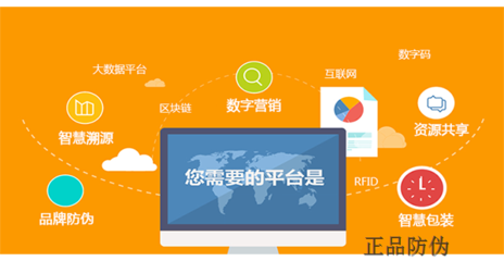 寶貝兒防偽防竄貨系統開發